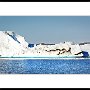 Arctic Greenland 036